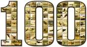 100_jcta