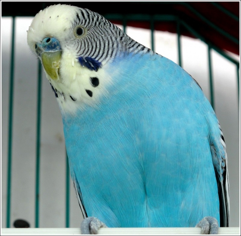 http://nsm03.casimages.com/img/2010/04/17//1004170306121026075850591.jpg
