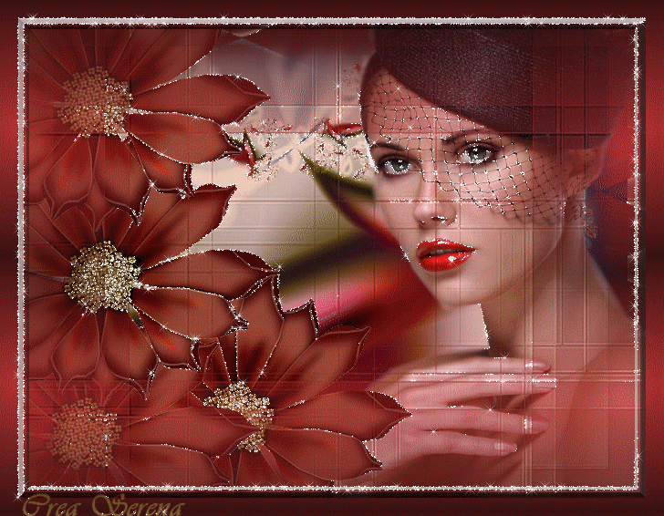 Image h�berg�e par Casimages.com : votre h�bergeur d images simple et gratuit
