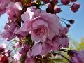 P1040574
