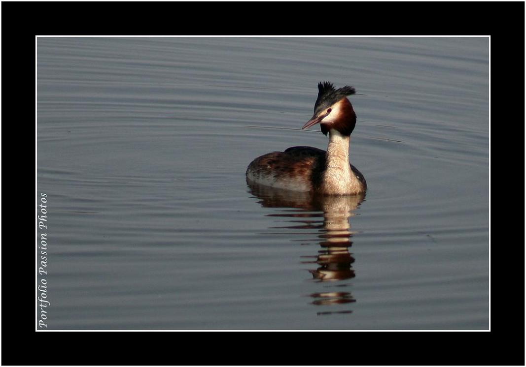 Image hébergée par Casimages.com : votre hébergeur d images simple et gratuit