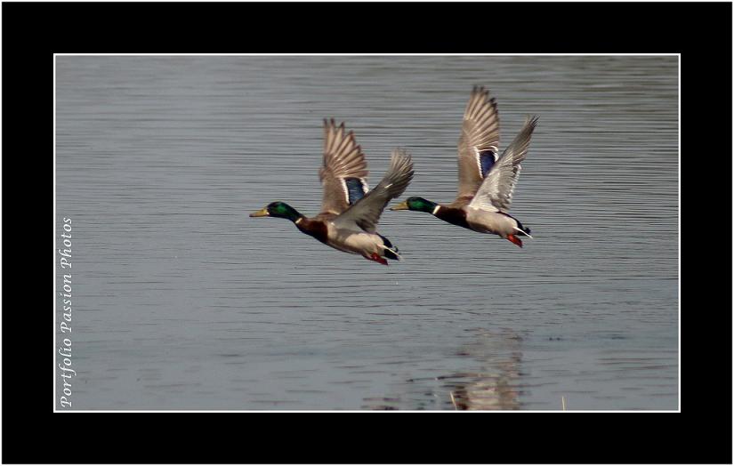 Image hébergée par Casimages.com : votre hébergeur d images simple et gratuit