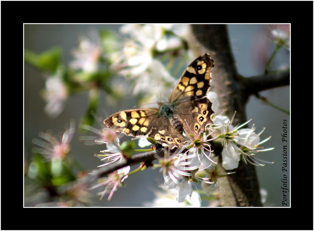 Image hébergée par Casimages.com : votre hébergeur d images simple et gratuit