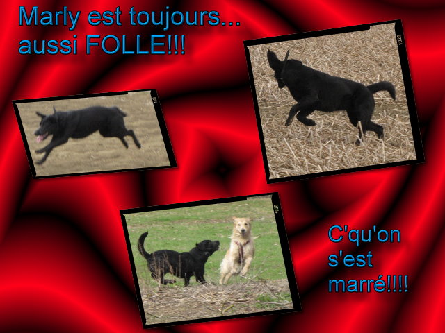 voir l'image en taille r�elle