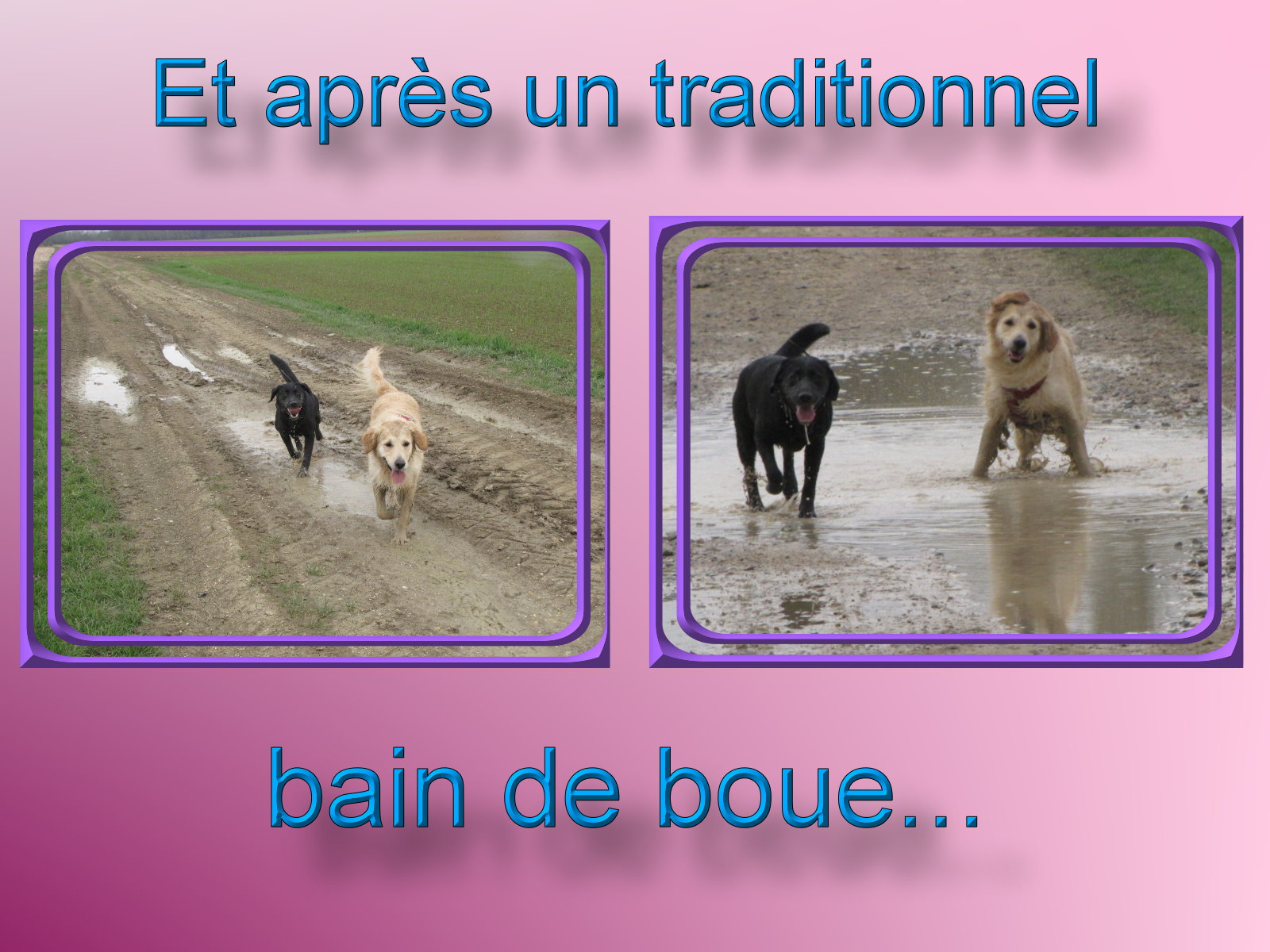 voir l'image en taille r�elle