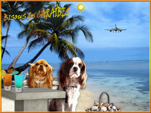 Image h�berg�e par Casimages.com : votre h�bergeur d images simple et gratuit