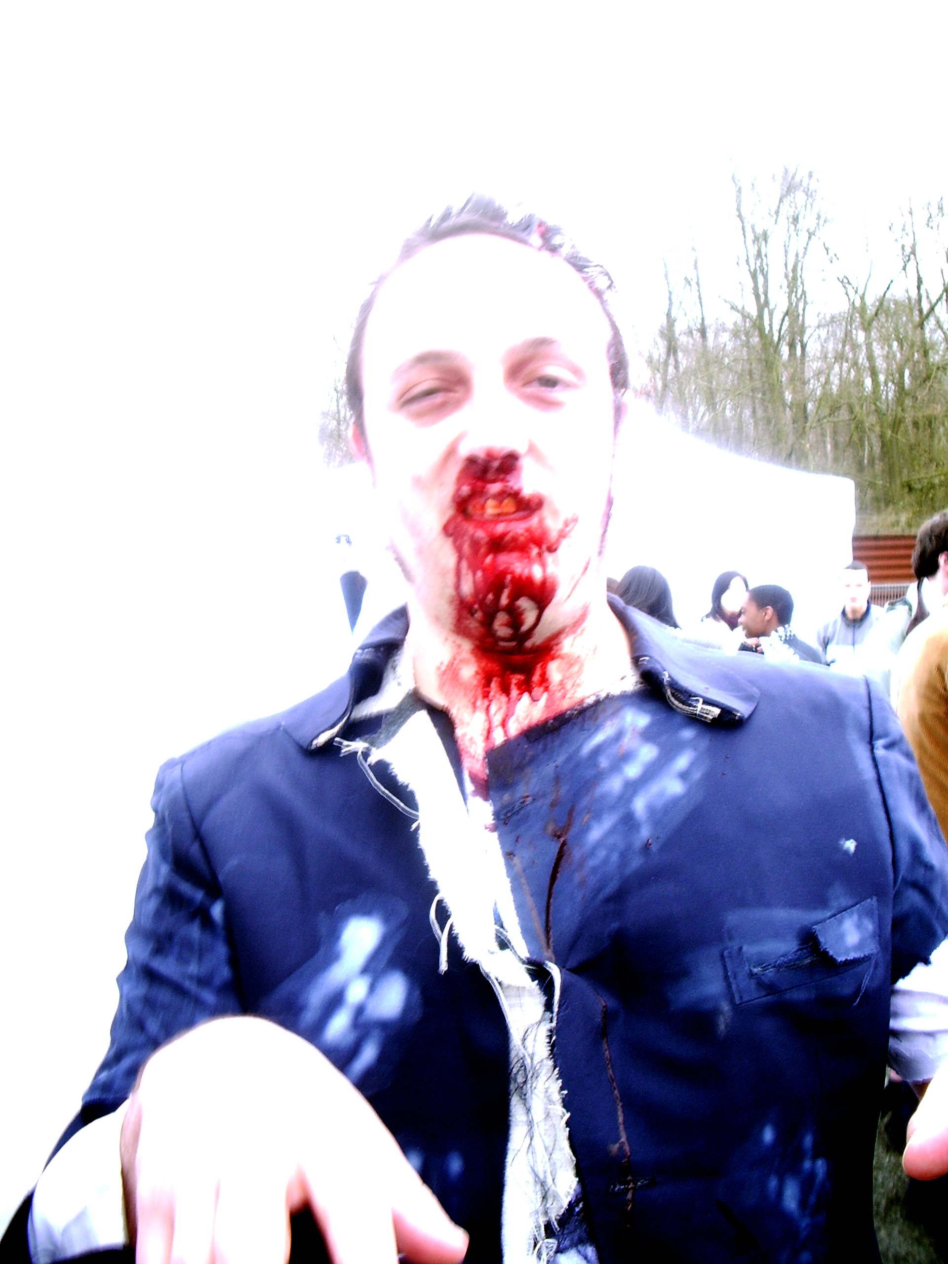 http://nsm03.casimages.com/img/2010/04/23/100423081808447805893190.jpg
