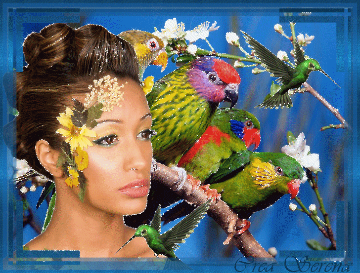 Image h�berg�e par Casimages.com : votre h�bergeur d images simple et gratuit