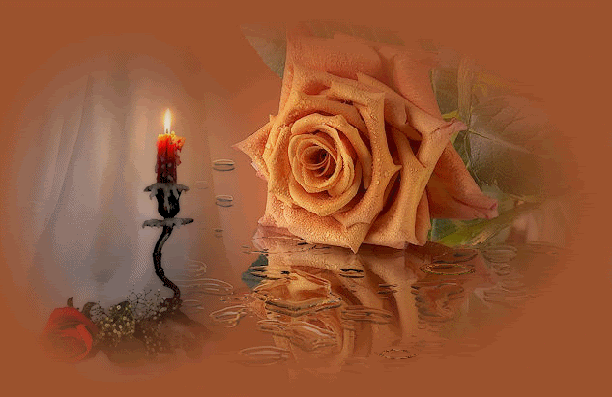 Image h�berg�e par Casimages.com : votre h�bergeur d images simple et gratuit