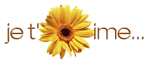 Image h�berg�e par Casimages.com : votre h�bergeur d images simple et gratuit