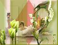 Hebergement gratuit d image et photo