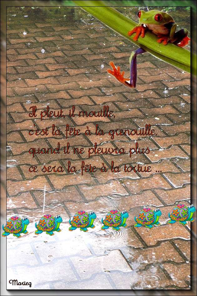 Image hébergée par Casimages.com : votre hébergeur d images simple et gratuit