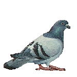 Image h�berg�e par Casimages.com : votre h�bergeur d images simple et gratuit