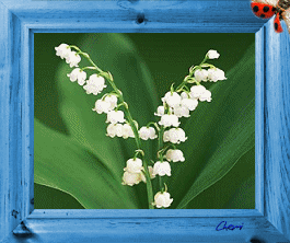 Image hébergée par Casimages.com : votre hébergeur d images simple et gratuit
