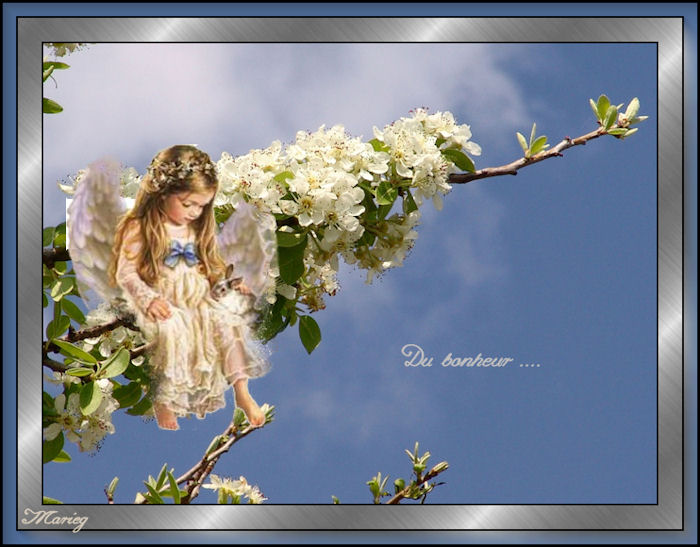 Image hébergée par Casimages.com : votre hébergeur d images simple et gratuit