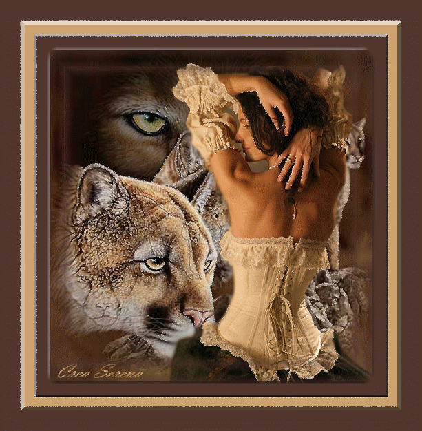 Image h�berg�e par Casimages.com : votre h�bergeur d images simple et gratuit