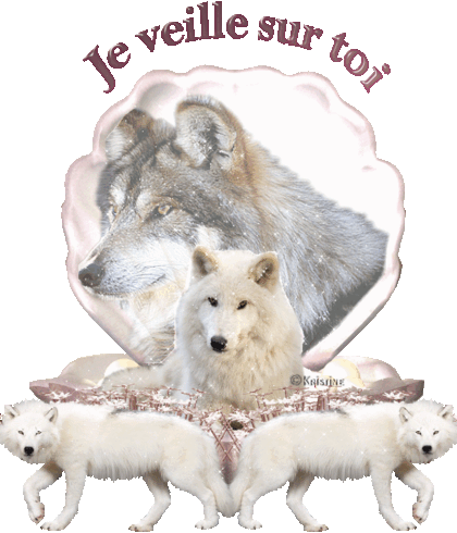 Image h�berg�e par Casimages.com : votre h�bergeur d images simple et gratuit