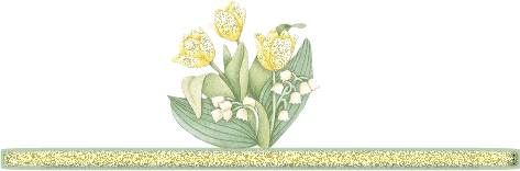 hebergeur image