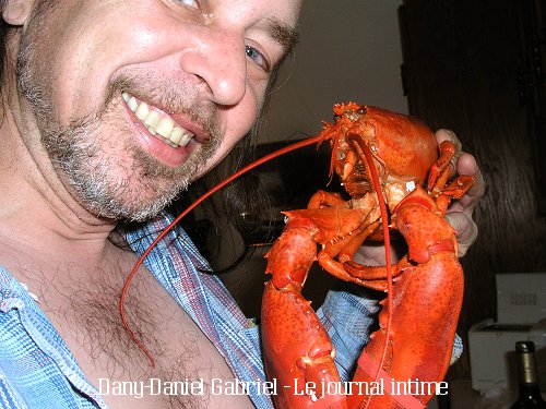 dany daniel gabriel homard