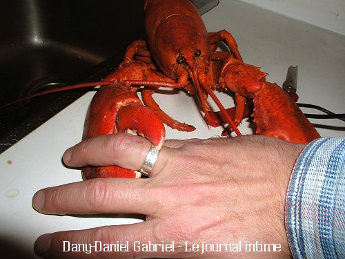 dany daniel gabriel homard bague