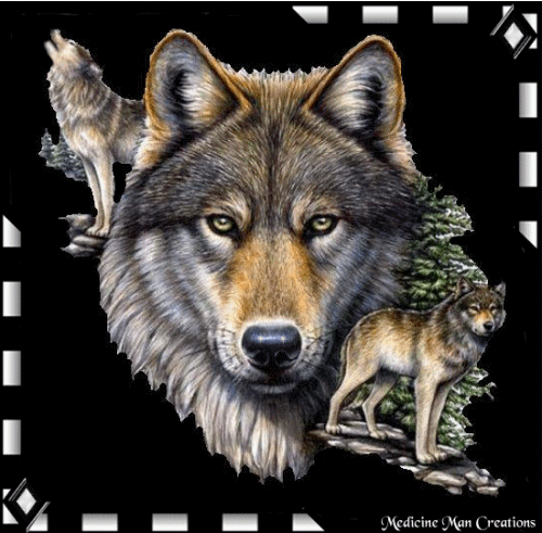 Image h�berg�e par Casimages.com : votre h�bergeur d images simple et gratuit