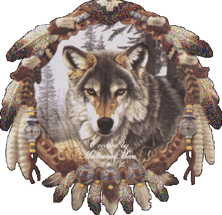 Image h�berg�e par Casimages.com : votre h�bergeur d images simple et gratuit