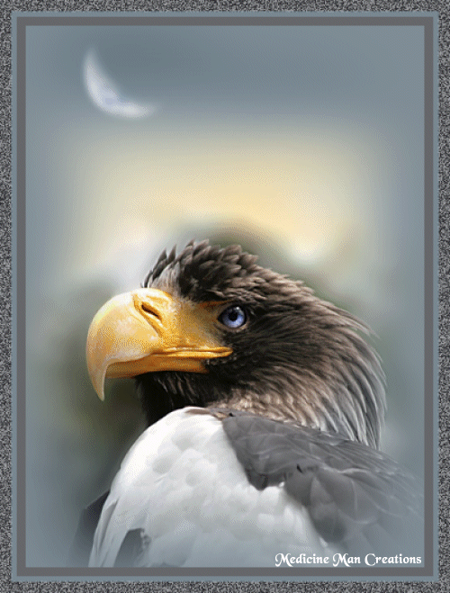 Image h�berg�e par Casimages.com : votre h�bergeur d images simple et gratuit