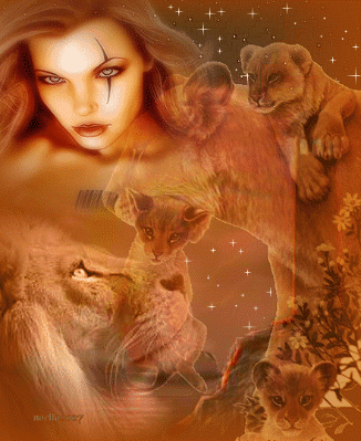 Image h�berg�e par Casimages.com : votre h�bergeur d images simple et gratuit