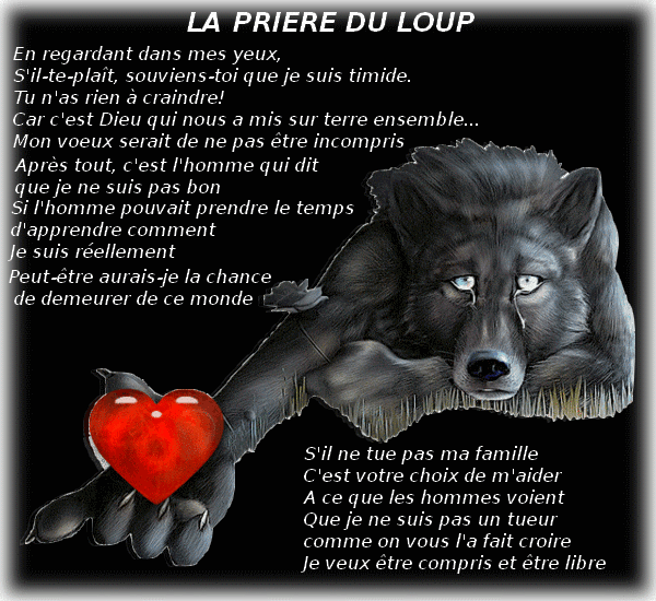 Image h�berg�e par Casimages.com : votre h�bergeur d images simple et gratuit