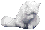 Image h�berg�e par Casimages.com : votre h�bergeur d images simple et gratuit