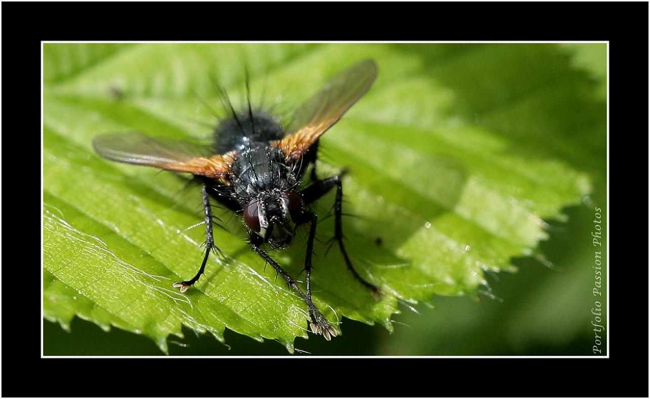 Image hébergée par Casimages.com : votre hébergeur d images simple et gratuit