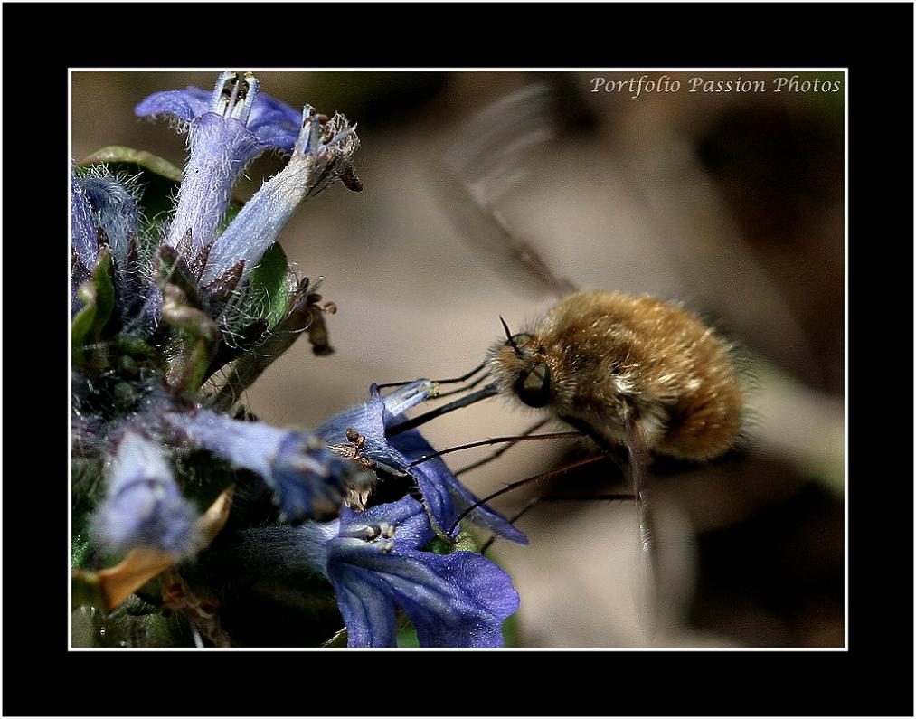 Image hébergée par Casimages.com : votre hébergeur d images simple et gratuit