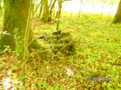 BILD0111