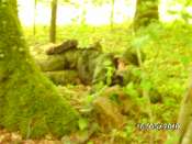 BILD0113