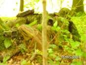 BILD0114
