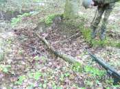 BILD0117