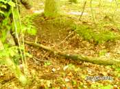 BILD0119