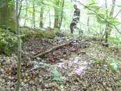 BILD0120