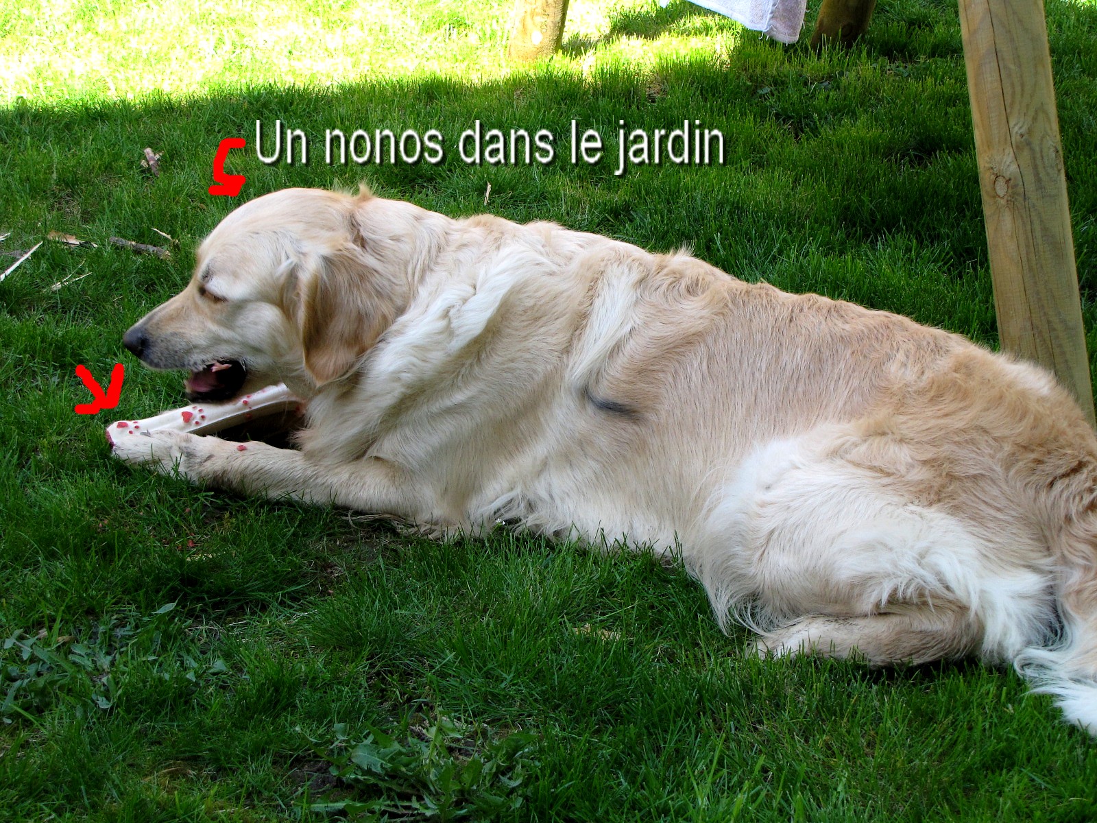 voir l'image en taille r�elle