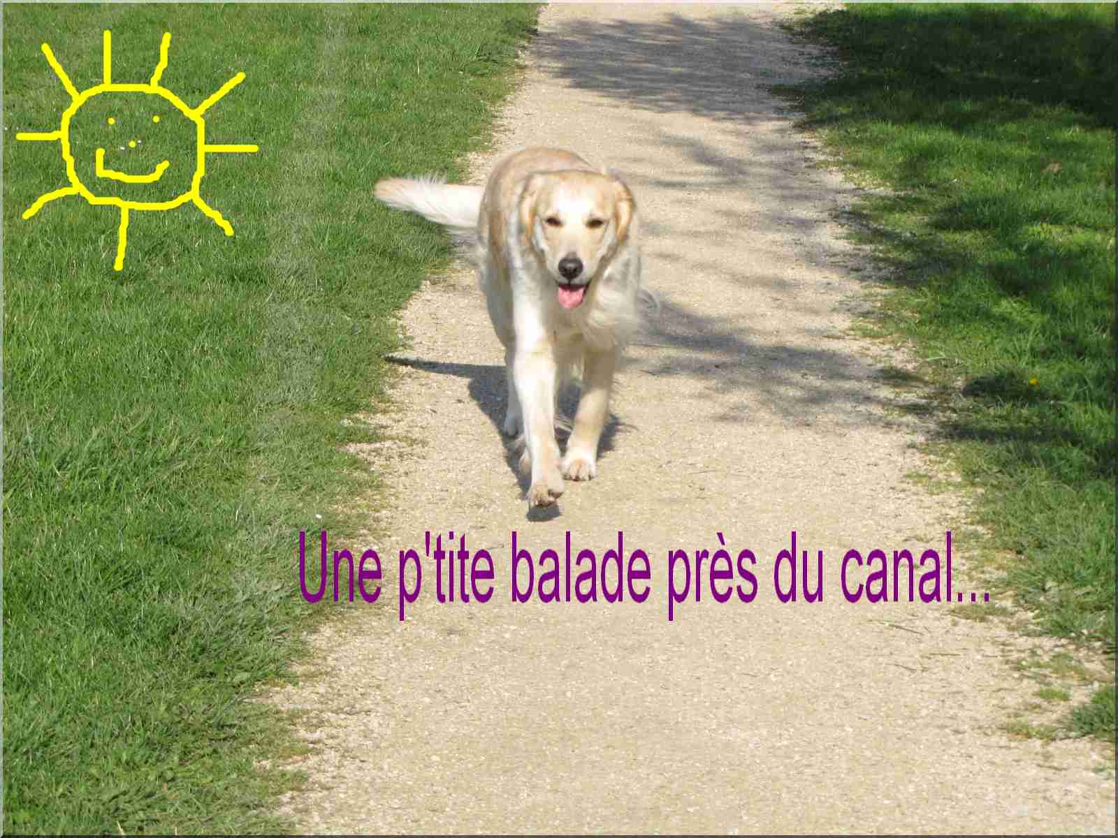voir l'image en taille r�elle