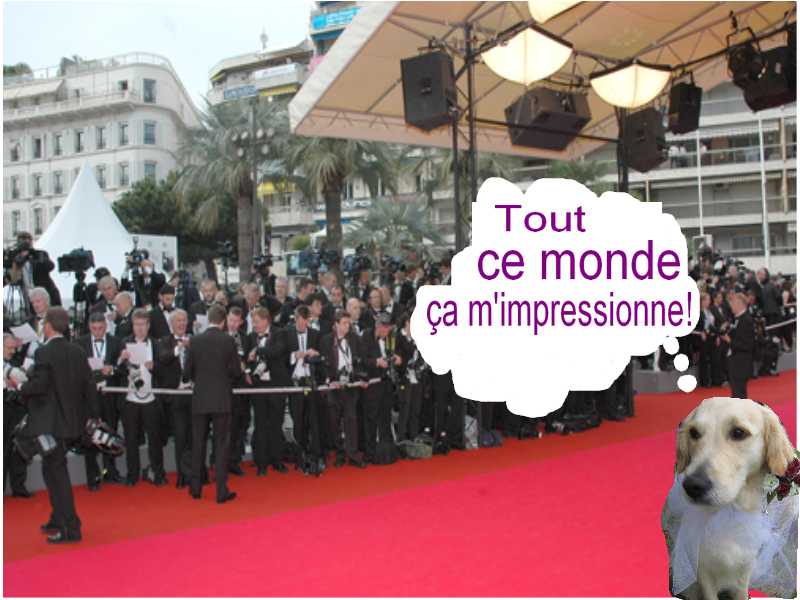 voir l'image en taille r�elle