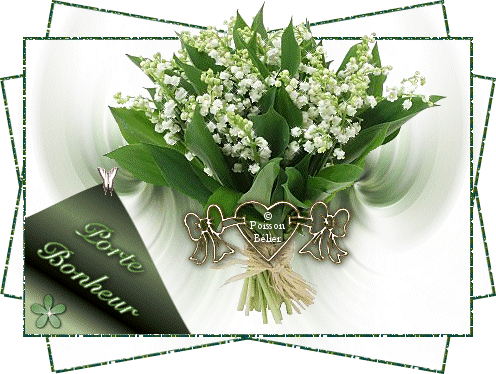 Image h�berg�e par Casimages.com : votre h�bergeur d images simple et gratuit