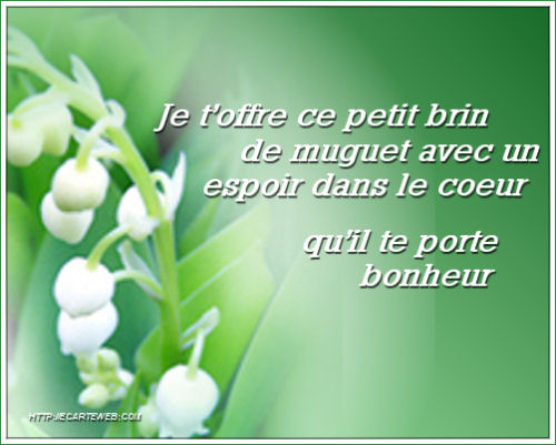 Image h�berg�e par Casimages.com : votre h�bergeur d images simple et gratuit