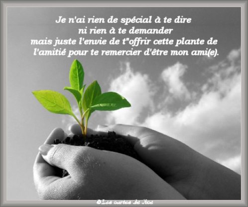 Image h�berg�e par Casimages.com : votre h�bergeur d images simple et gratuit