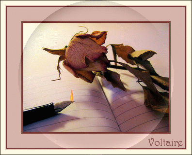 Image h�berg�e par Casimages.com : votre h�bergeur d images simple et gratuit