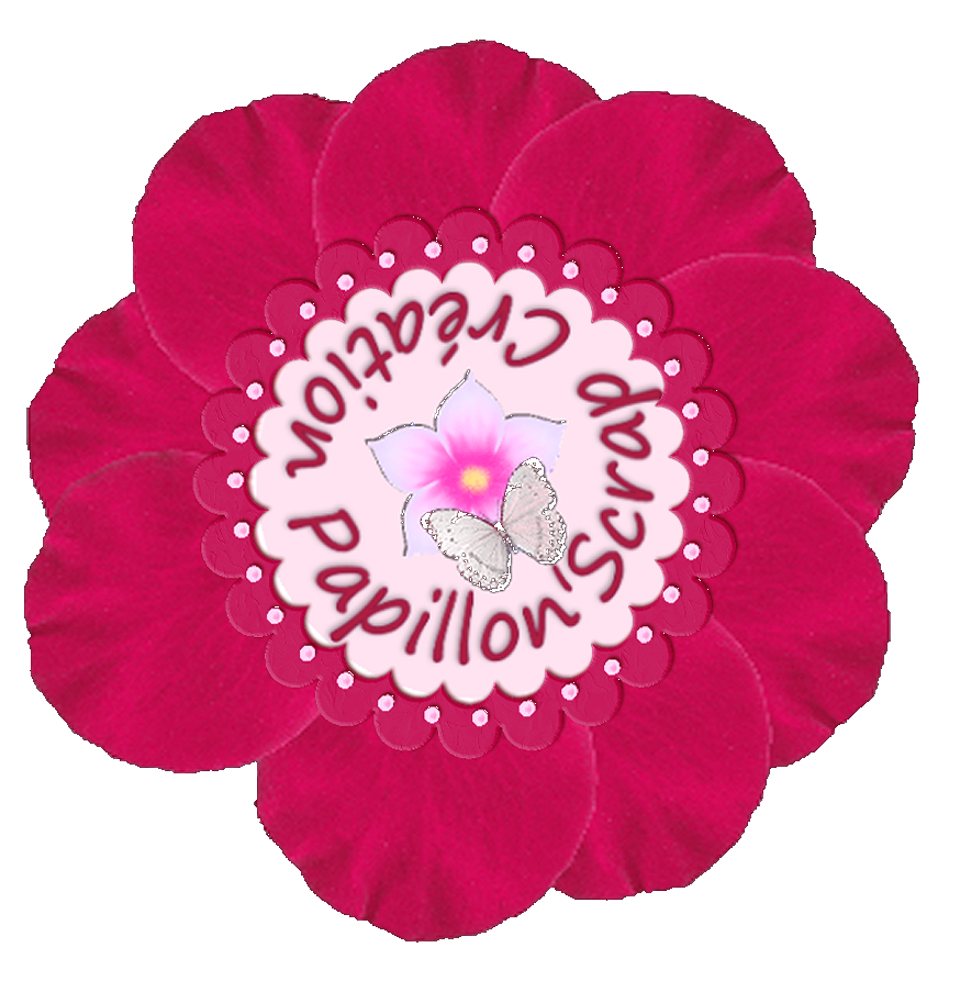 Blog de papillonscrap : Papillon'Scrap, Présentation