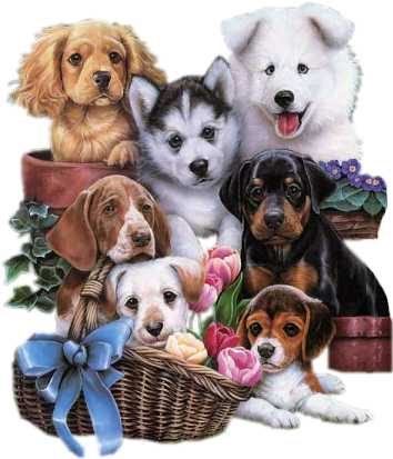 Image h�berg�e par Casimages.com : votre h�bergeur d images simple et gratuit