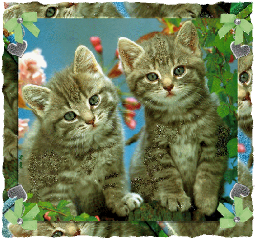 Image h�berg�e par Casimages.com : votre h�bergeur d images simple et gratuit