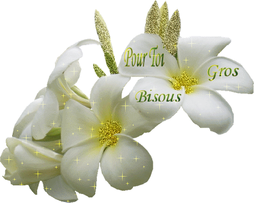 Image h�berg�e par Casimages.com : votre h�bergeur d images simple et gratuit
