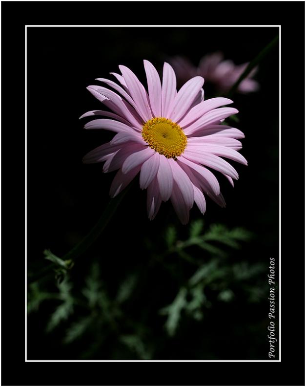 Image hébergée par Casimages.com : votre hébergeur d images simple et gratuit